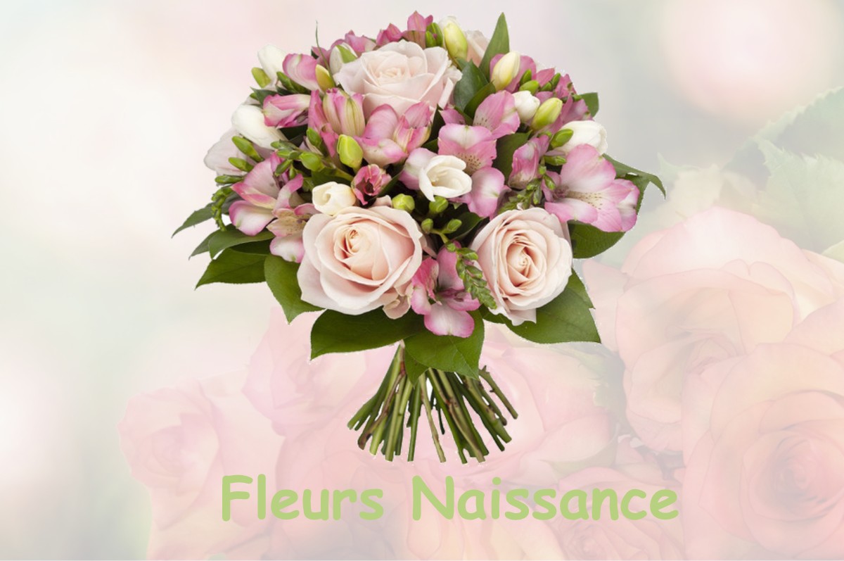 fleurs naissance PLASNE