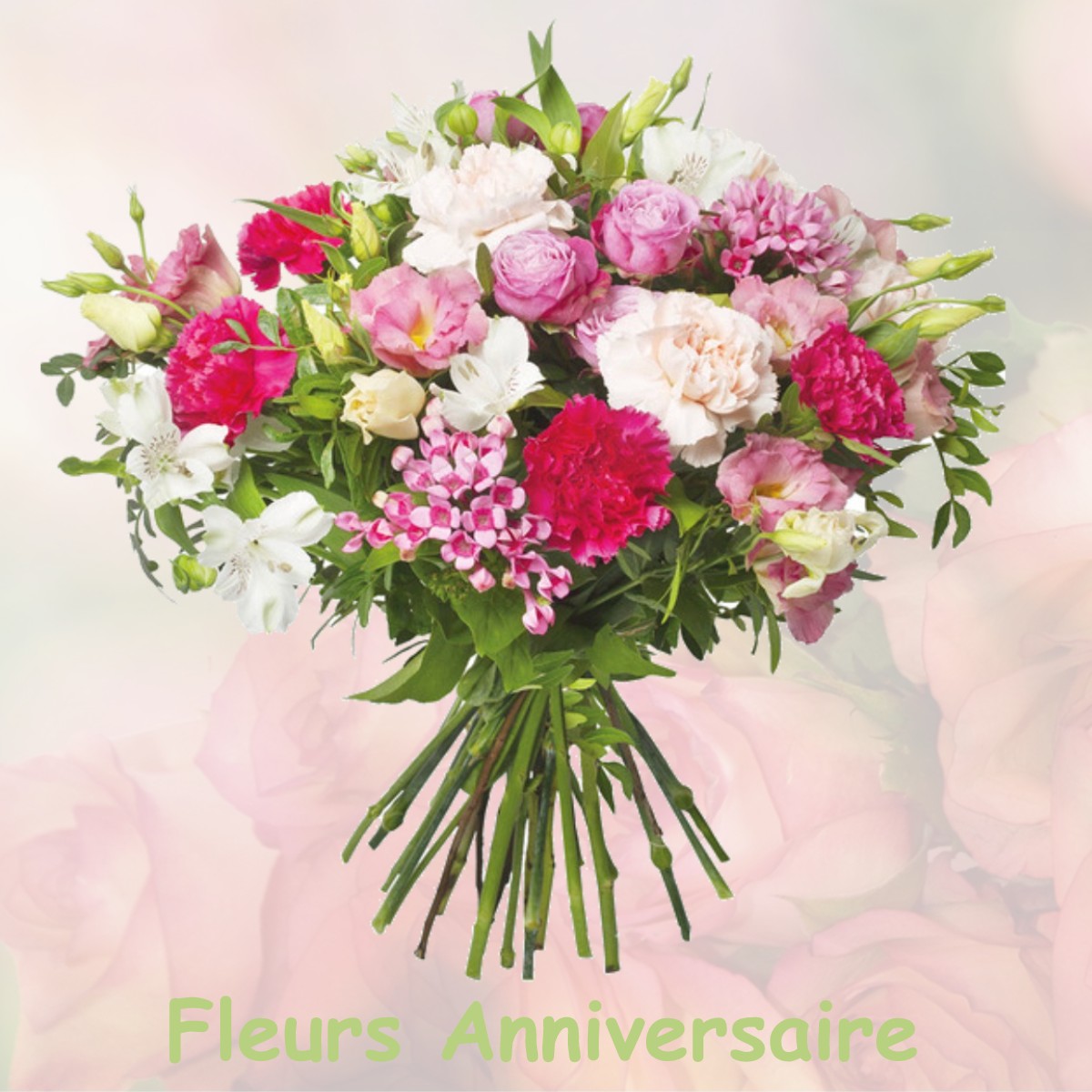 fleurs anniversaire PLASNE