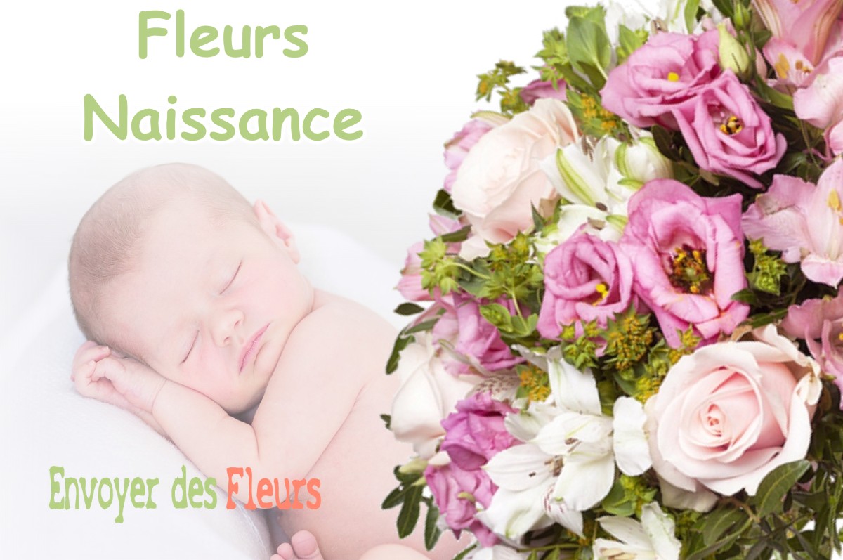 lIVRAISON FLEURS NAISSANCE à PLASNE