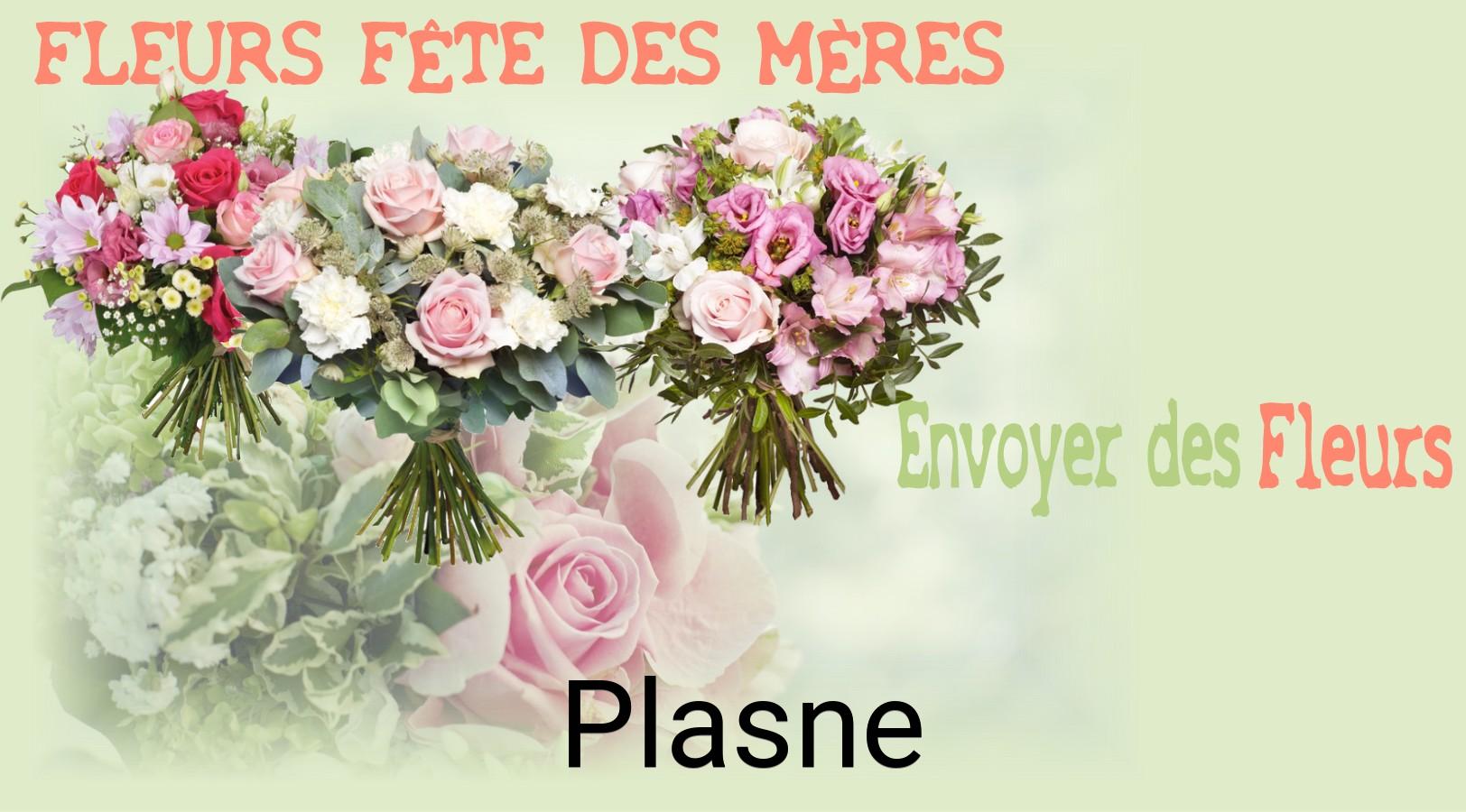 Bouquet de Fête des Mères livré à Plasne